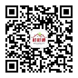 莆田村村通微信公众号