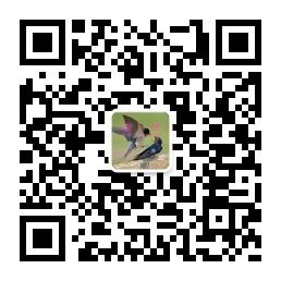 壹碗情烫面微信公众号