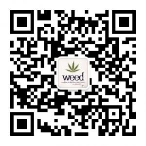 weed飞行燃料机场微信公众号