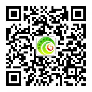 粤港澳都市圈微信公众号