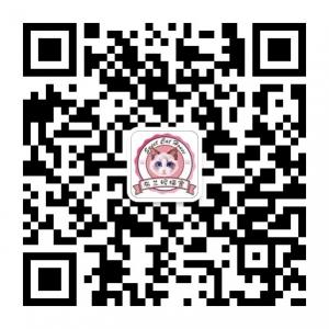 关于猫AboutCat微信公众号