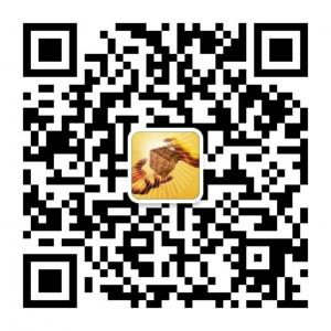 K线金融投资课堂微信公众号