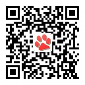 宠物天空网微信公众号