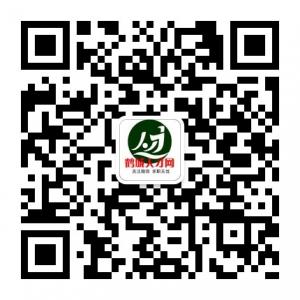 齐齐哈尔鹤城人才网微信公众号