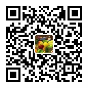 鑫海洋商贸行微信公众号