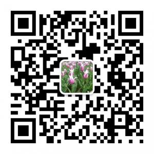 聚焦健康养生微信公众号