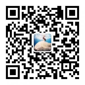 可可爱美丽乐园微信公众号