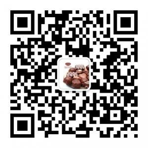 蒂奥莎手工巧克力微信公众号