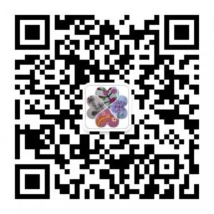 益智手工王微信公众号