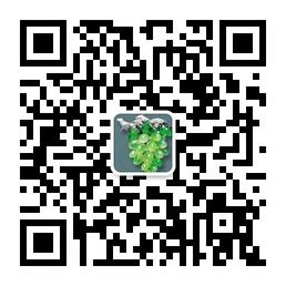 翡翠那些事微信公众号