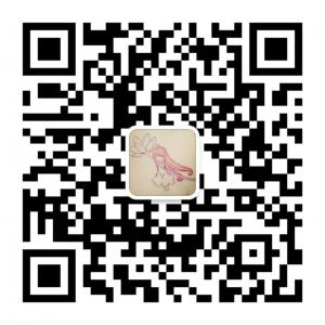 拉稀de橡皮章微信公众号