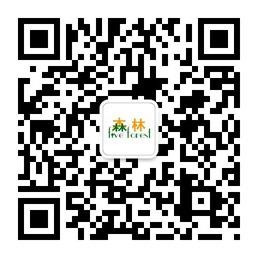 森林の生活馆微信公众号