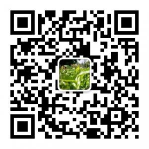 正宗永春佛手微信公众号