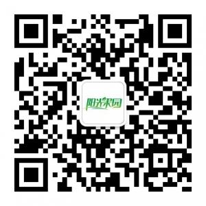 阳光果园水果店微信公众号