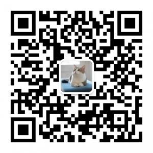 munchkin曼奇金短腿猫舍微信公众号