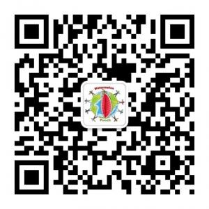 西瓜大碰撞微信公众号