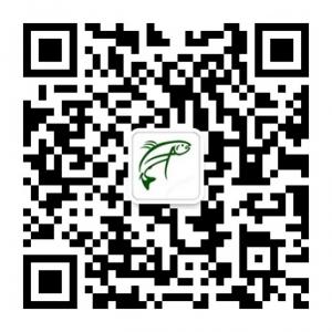 秦皇岛三文鱼微信公众号