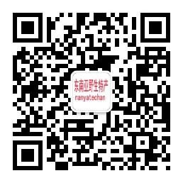 东南亚野生特产微信公众号