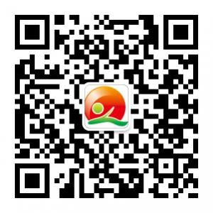 齐鲁儿女网微信公众号