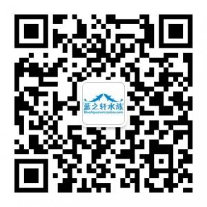 蓝之轩水族微信公众号
