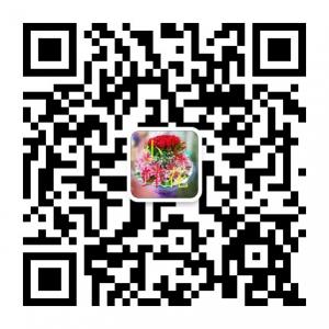 天津河西小莹鲜花微信公众号