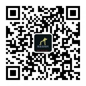 珠海宠物网微信公众号