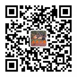 家乐丰农庄土鸡深圳精品店微信公众号