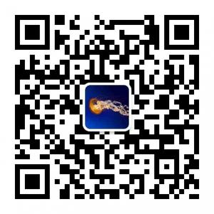 发现小而美微信公众号