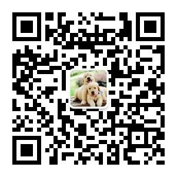 爱金毛爱生活微信公众号