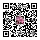 芙蓉爱做菜微信公众号