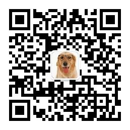 年青人你这是要搞事微信公众号