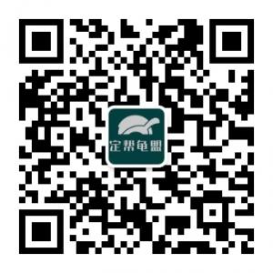 定帮龟盟交流平台微信公众号