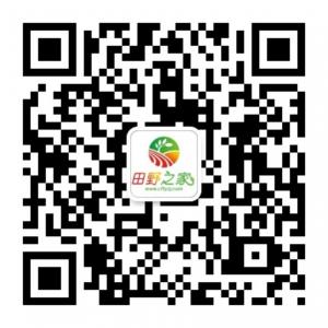 赤峰田野之家微信公众号