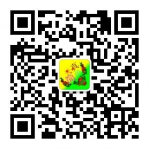 简单的天真微信公众号