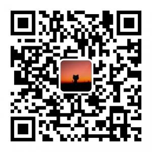 单身喵的自我修养微信公众号