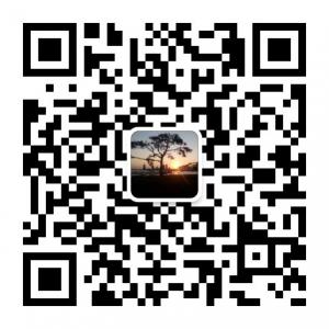 梦无言花无语微信公众号