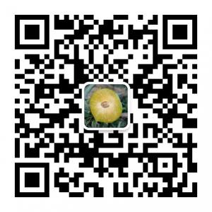 四川蜂糖李苗木基地微信公众号