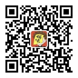 全球爆笑搞笑排行榜1微信公众号