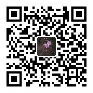 Syl故事Via微信公众号