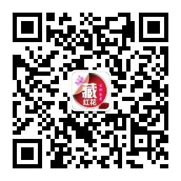 藏红花百科全书微信公众号
