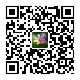热点风向标微信公众号