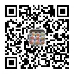 安徽中都苗木微信公众号