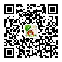 教你做儿童创意餐摆盘微信公众号