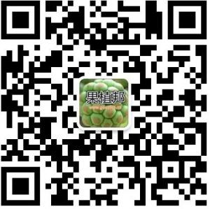 黑老虎（果植邦社区）微信公众号