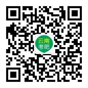 云南考吧-公务员事业单位教师考试学习社区微信公众号