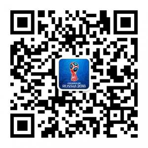 俄罗斯足坛观察 俄罗斯足坛观察